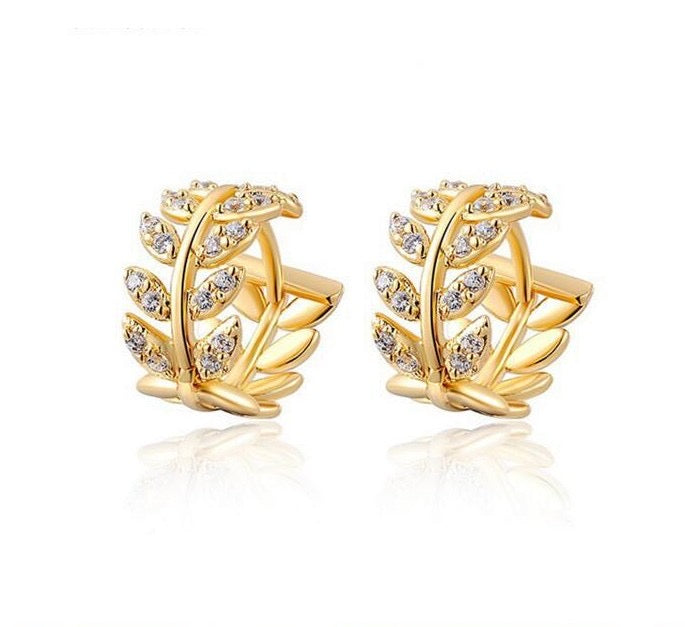 Aretes/hoops romano