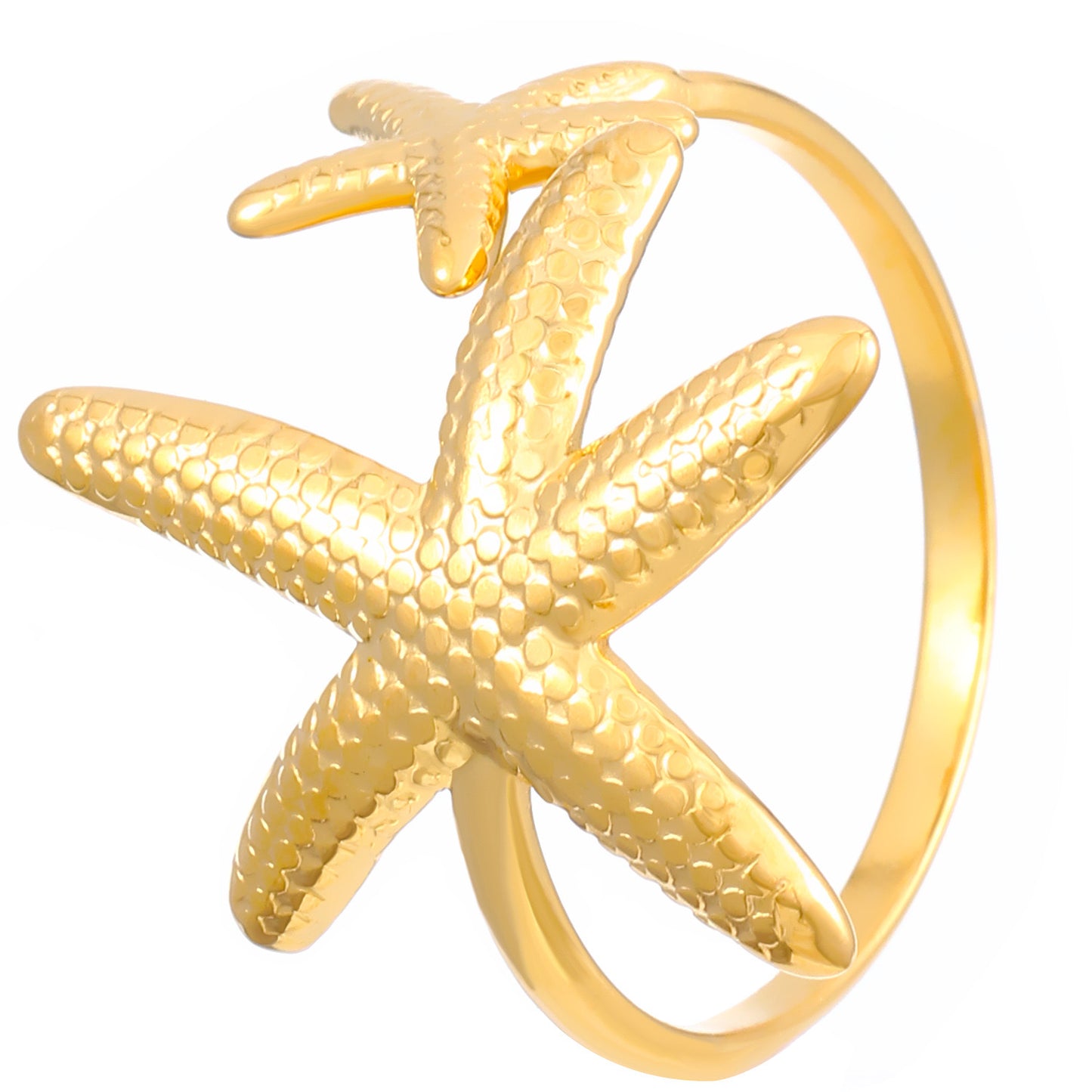 Anillo estrella doble